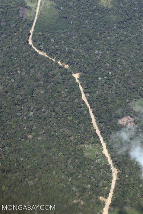 Deforestation Along The Transoceanic Highway In Peru Peruaerial1361
