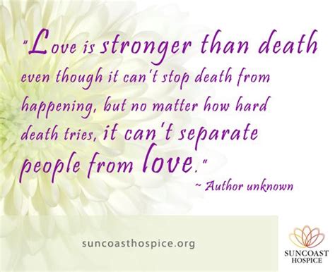 Inspirational Quotes About Hospice Quotesgram