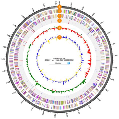 Genome Map Ezbiocloud Help Center