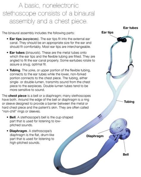 Vital Signs Medical Knowledge Stethoscope Parts Medical School