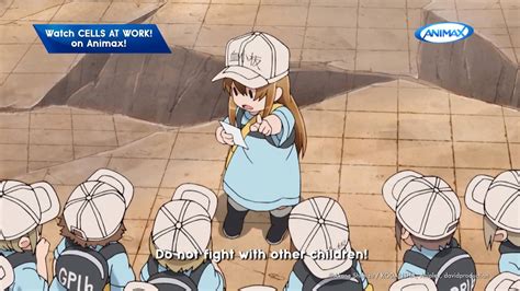 Cells At Work Best Anime Fights Platelets To The Rescue Can Our