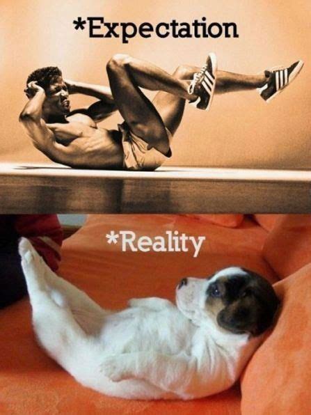 10 funny expectation vs reality memes that will make you go rofl