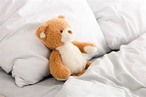 Teddy Bear Bed Images Search Images On Everypixel
