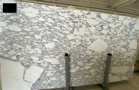 Arabescato Corchia 20mm Honed Marble Cdknz