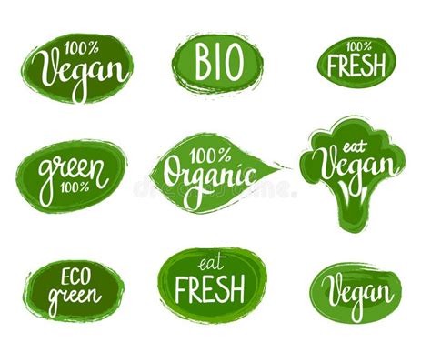 Organic Eco Vegan Nature Stock Illustration Illustration Of