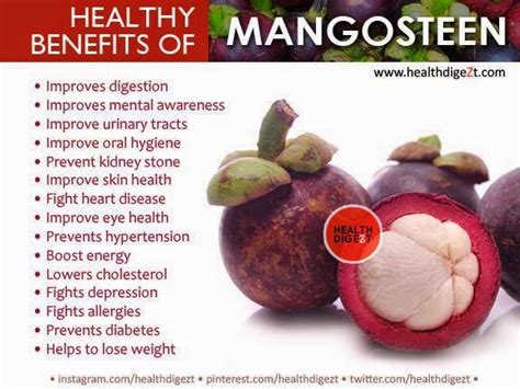 Telugu Web World Healthy Benefits Of Mangosteen