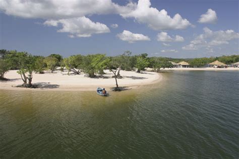 Badak jawa adalah spesies badak yang terdapat di pulau jawa, indonesia. INFO!! 5 Pantai Paling Bahaya di Dunia ~ zamrispoon