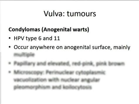 SOLUTION Disorders Of The Vulva Vagina Cervix Uterus Dr Kaggia Studypool