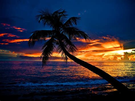 39 Tropical Beach Sunset Wallpaper Desktop On