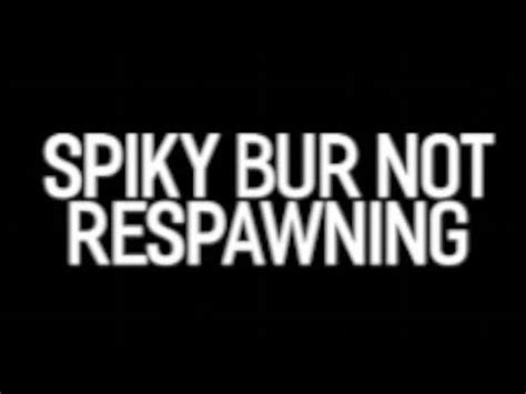 SPIKY BUR NOT RESPAWNING YouTube