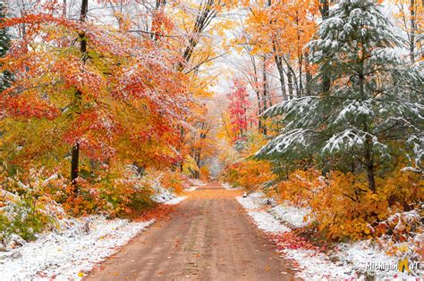Early Autumn Snow In Michigans Hiawatha National Forest