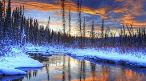 Winter Scenery - Winter & Nature Background Wallpapers on Desktop Nexus ...