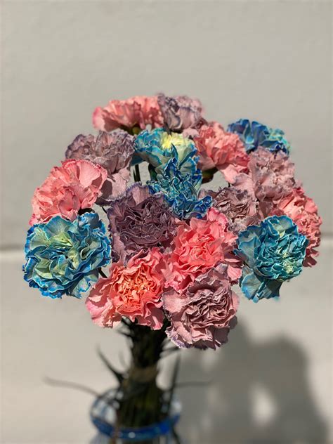 Tie Dyed Carnations Mayflower Studio