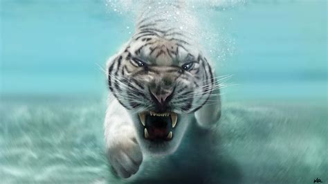 Angry White Tiger Wallpaper Hd 1080p