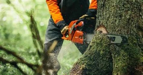 The Best Chainsaw Options Of 2023 Recommended By Bob Vila