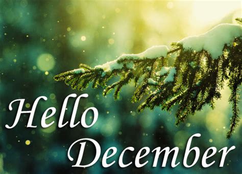 Hello December Pictures Photos And Images For Facebook Tumblr