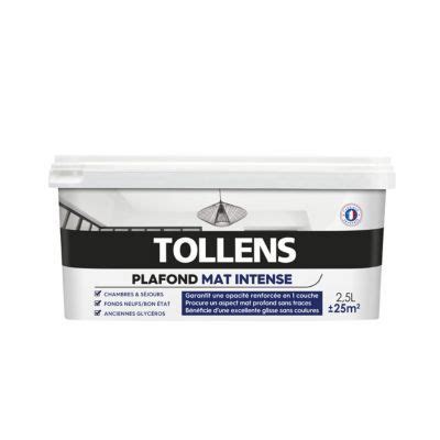 Je sollicite vos conseils en matières de choix d'une peinture blanche mate pour peindre les murs et le plafond de. Peinture monocouche plafond Tollens blanc mat intense 2,5L ...