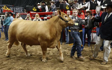 See actions taken by the people who manage and post. Millions at stake at San Antonio's junior livestock show ...