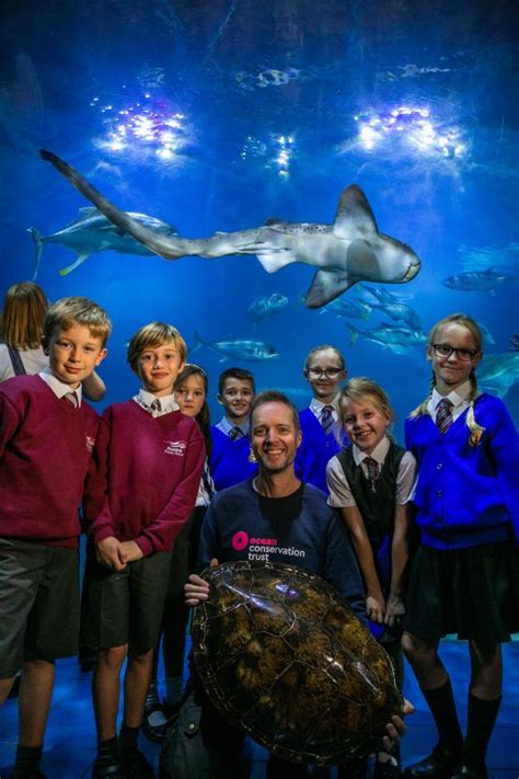 Oct Learning Programme School Visits Ocean Conservation Trust