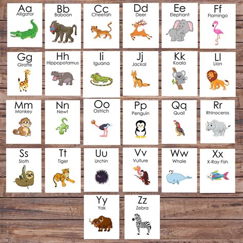 Jungle Animal Alphabet Flash Cards Zoo Animals Instant Download Etsy