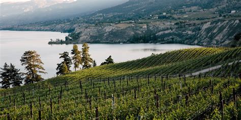 Wineries And Wine Tours In British Columbia Super Natural Bc
