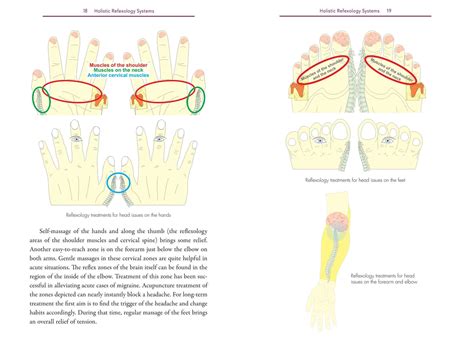 holistic reflexology book by ewald kliegel official publisher page simon and schuster au
