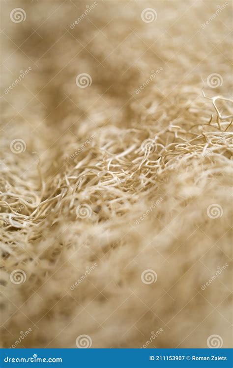 macro background of natural sponge that looks like roots stock image image of abstract beauty