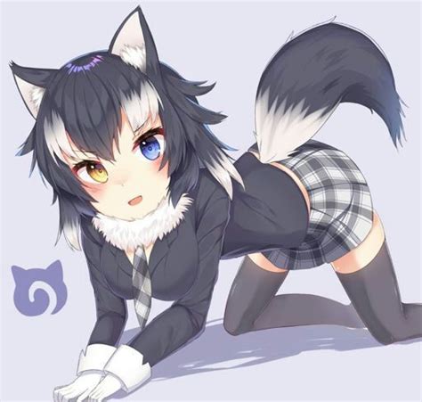 Beautiful Wolf Girl Wiki Anime Amino