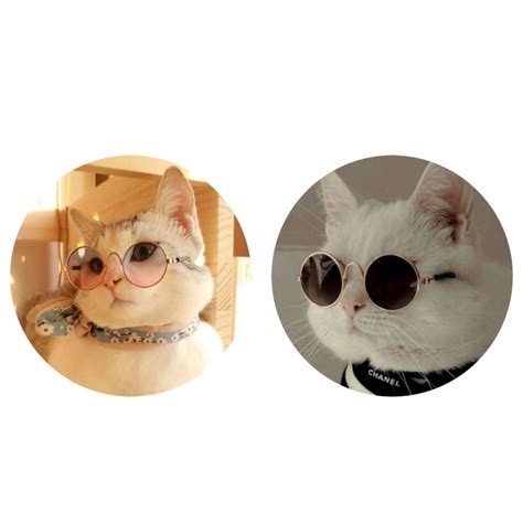 Cute Cat Funny Matching Profile Pictures In My Head