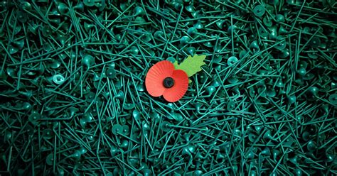 How To Wear A Poppy Which Side To Wear Your Remembrance Day Poppy