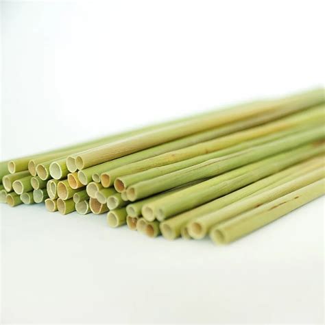 Disposal Fresh And Dried Grass Straw Ecofriendly Straws Collection