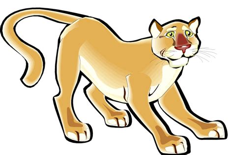 Cougars Clipart Free Download On Clipartmag