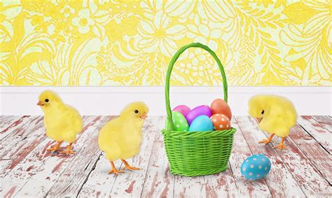Chicks Easter Wallpapers Wallpaper Cave