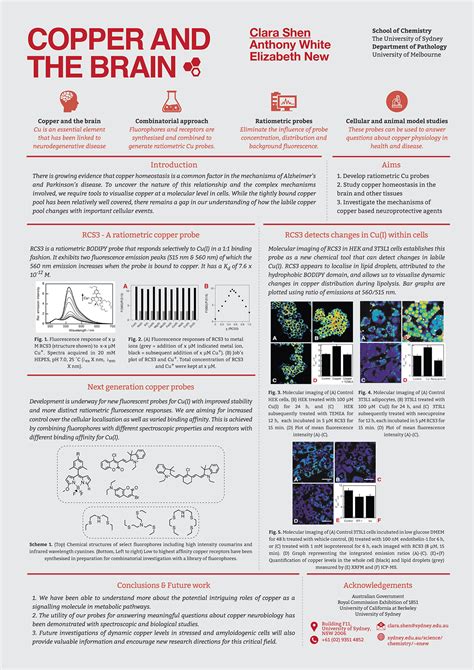 Scientific Posters On Behance