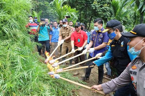 Info lowongan dinkes sleman brougth to you by lokercpnsbumn.com. BNN Bersama KNPI Dan TNI-Polri Musnahkan 4 Hektar Ladang Ganja, Di Sawang Aceh Utara - Cakra News