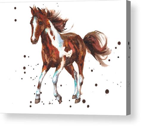 Horse Poster Watercolor Painting Watercolor Animal Horse 6 Watercolor