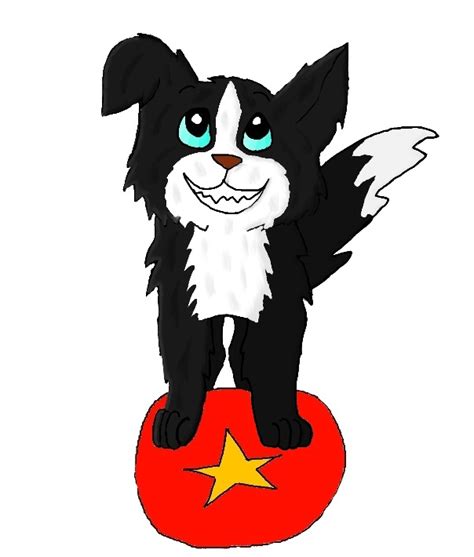 Furry Paws Border Collie By D Boo 26 On Deviantart