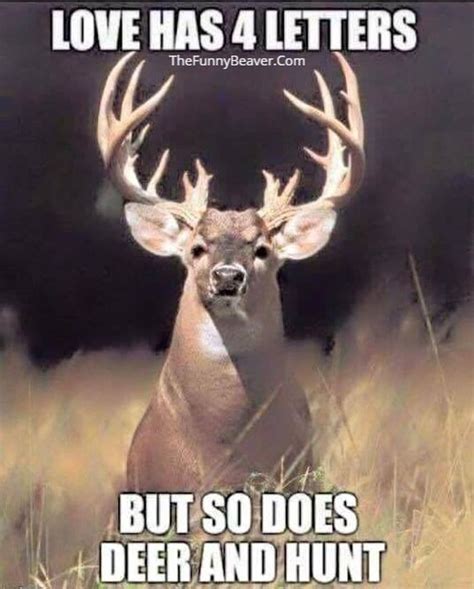 37 Best Funny Deer Hunting Meme Images On Pinterest Deer