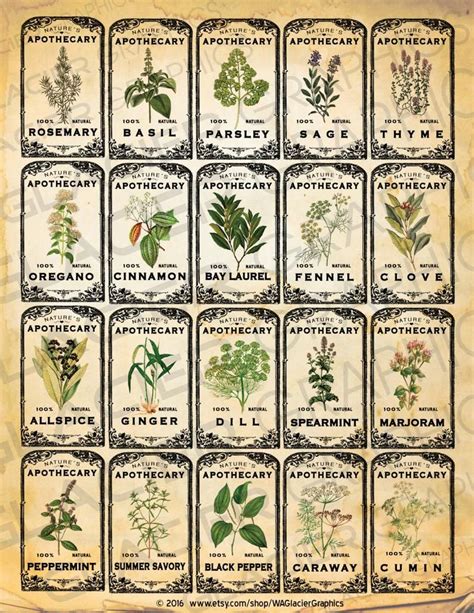 Free Printable Vintage Herb Labels Free Templates Printable