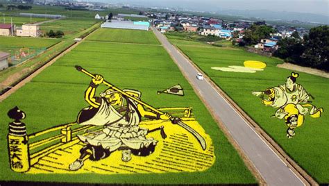 Giant Living Artworks ‘grown On The Rice Fields Of Japan Twistedsifter