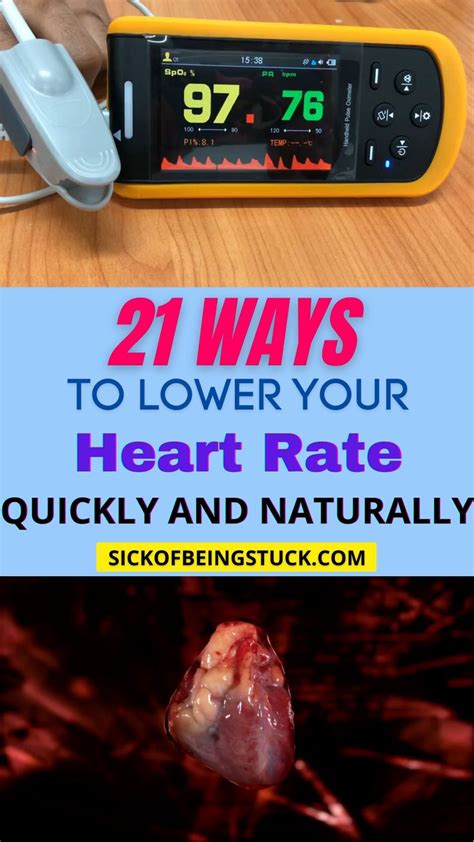 21 Best Ways To Lower Your Heart Rate Video Daily Health Tips