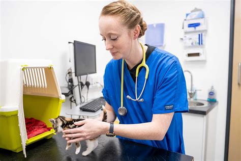 Referral Services – Valley Vets Referrals