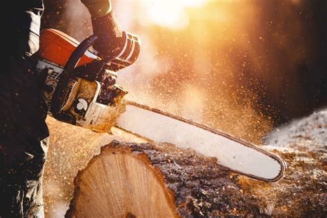 Lawn care equipment company is located at county, missouri: Power Equipment - Nixa Hardware & Seed Company