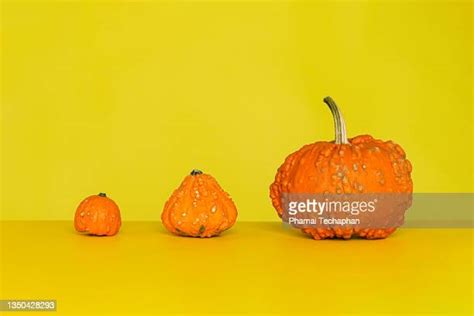 Small Medium Large Food Photos And Premium High Res Pictures Getty Images