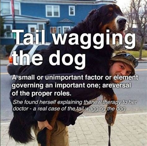 Idiom Tail Wagging The Dog Tail Wagging The Dog Idioms English