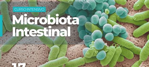 Curso Intensivo Microbiota Intestinal Instituto Universitario Vive Sano