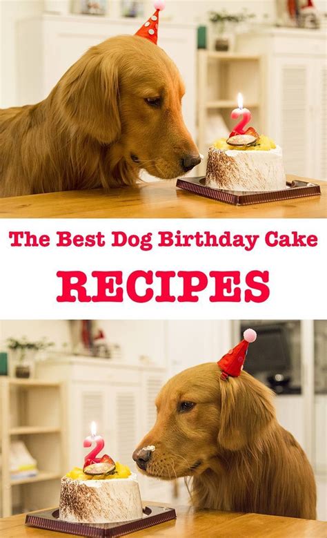 Healthy cake recipe for doggie birthdays. Dog Birthday Cake Recipes For Your Pup's Special Day | Dog cakes, Dog cake recipes, Dog birthday