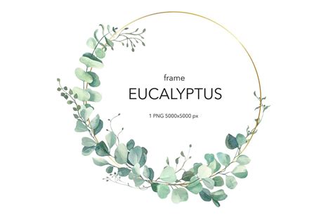 Watercolor Eucalyptus Wreath Clipart Greenery Wreath Wedding