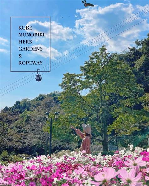 ウラリエさんのインスタグラム写真 ウラリエinstagram 三宮からすぐの都会のオアシス 🌿 秋を感じにこちらへ🌸 ↪︎ Kobe