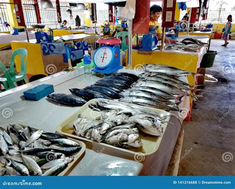Local Fish Market In Mamburao Mindoro Editorial Stock Photo Image Of